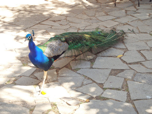 World of Birds Wildlife Sanctuary.